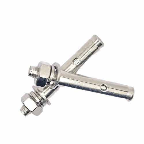 Hollow Wall Fasteners Elevator Bolt Type Stainless Steel SS304 316 door frame fixing concrete expansion anchor screws